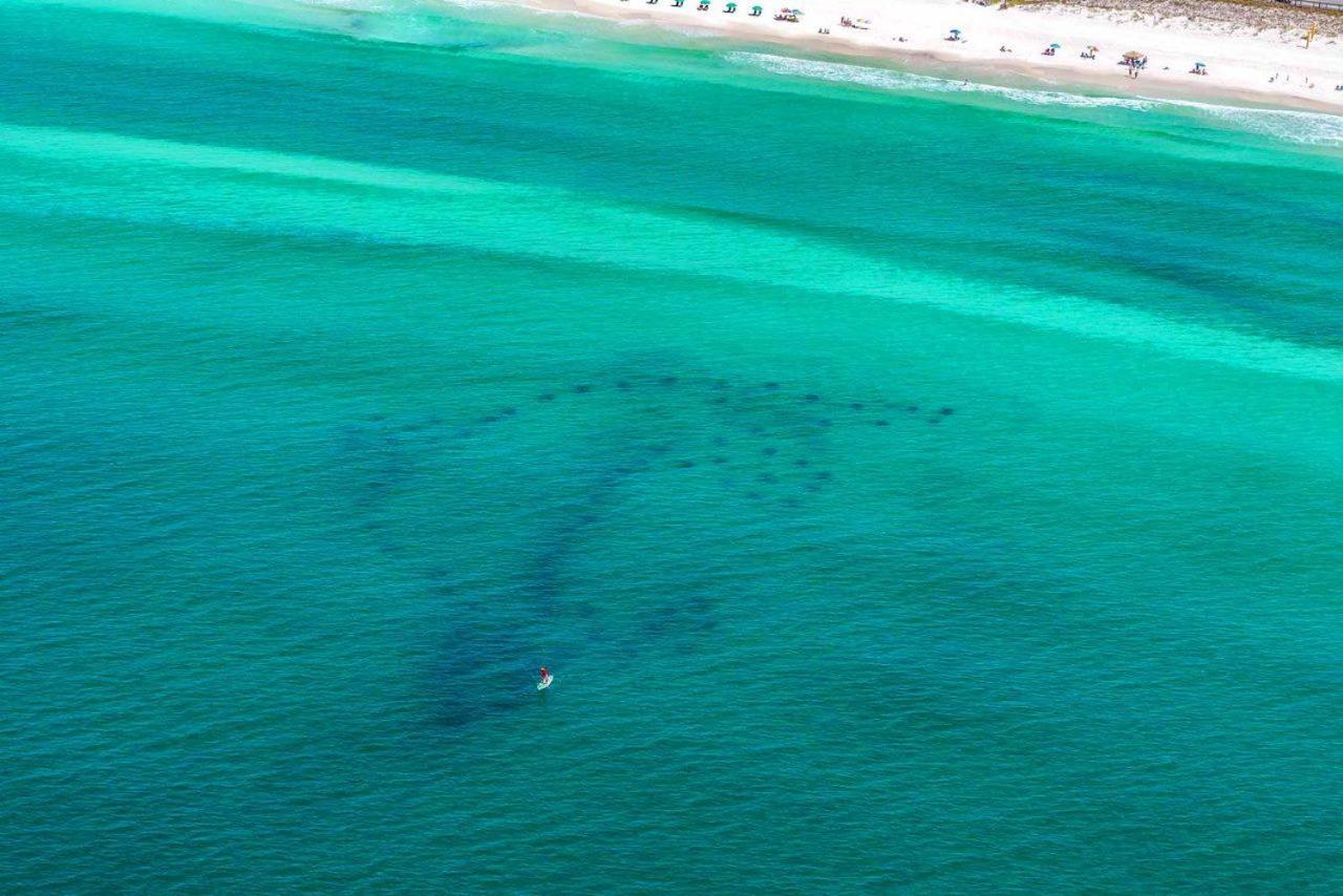 Ocean Breezes Villa Destin Bagian luar foto